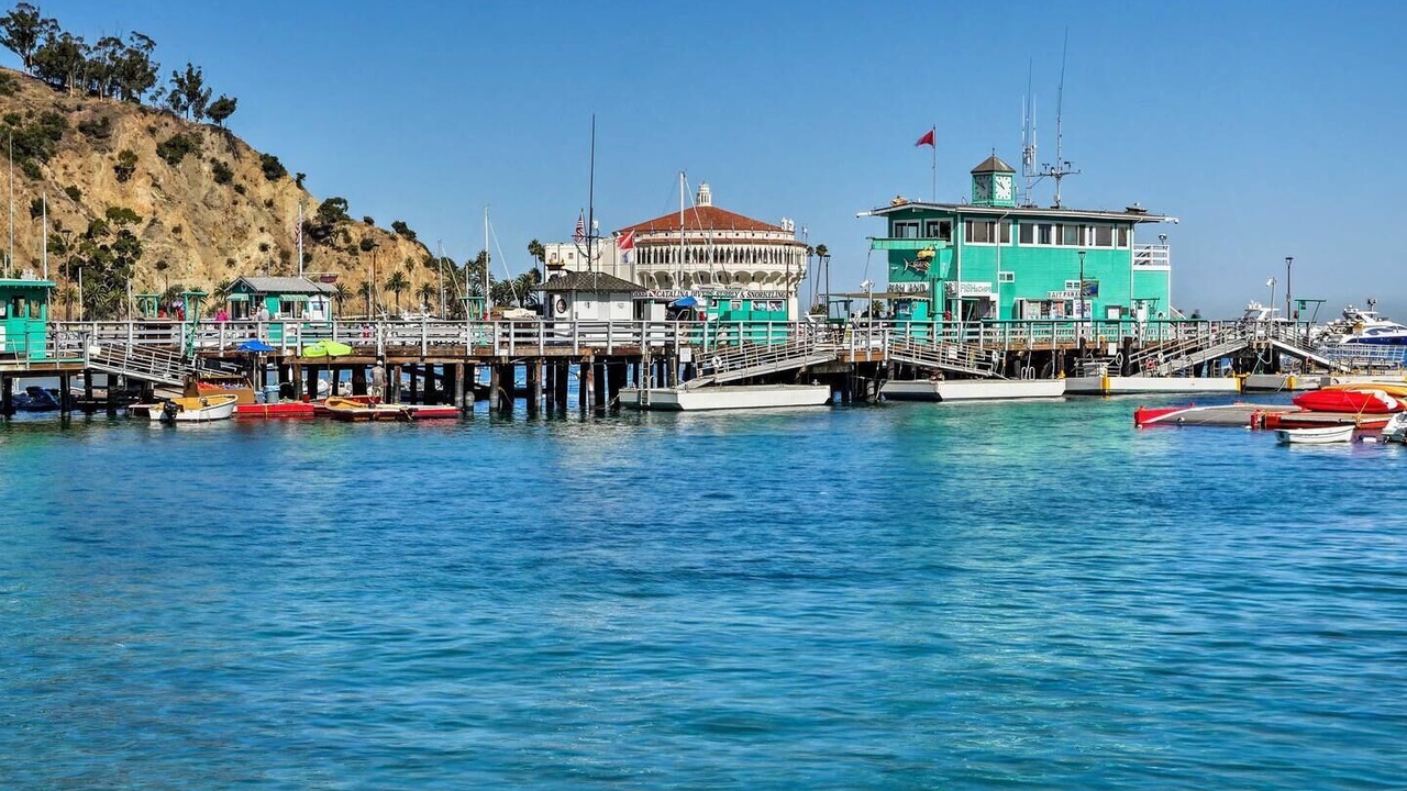 Photo of Others in Avalon