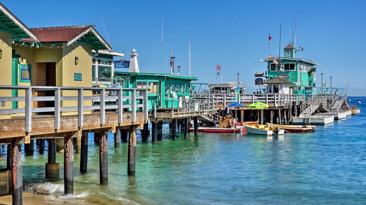 Photo of Others in Avalon