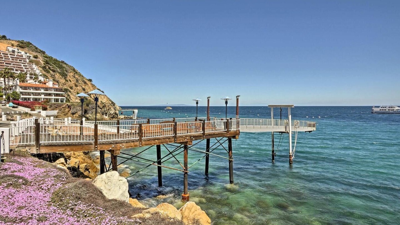 Photo of Others in Avalon