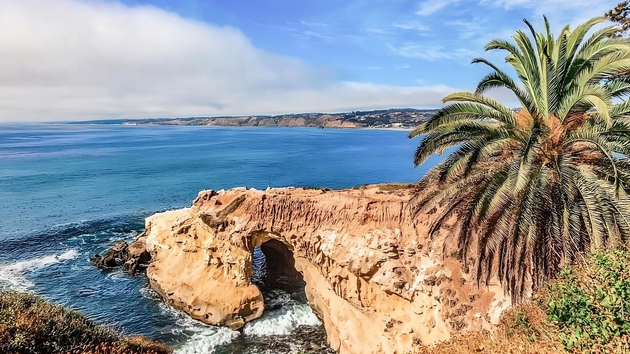 Photo of Others in Village of La Jolla