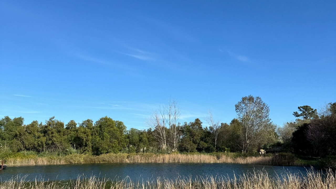 Photo of Outdoor in Santa Ynez