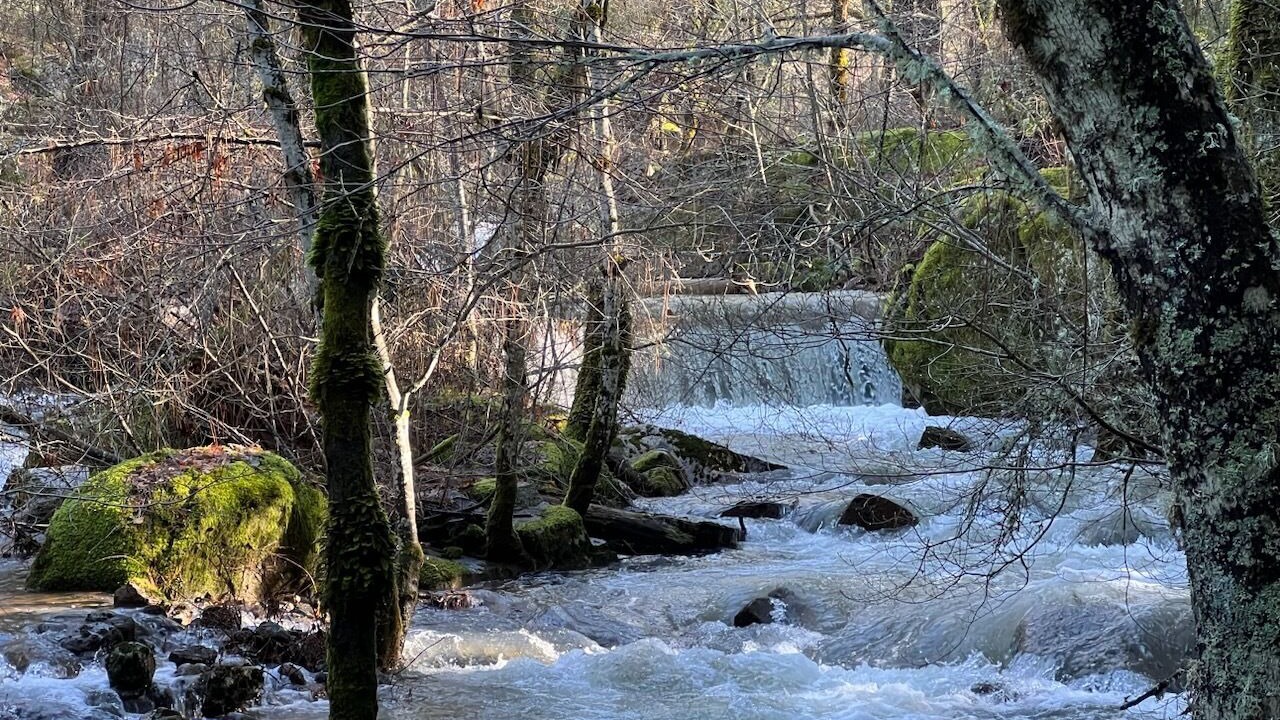 Photo of Outdoor in Nevada City
