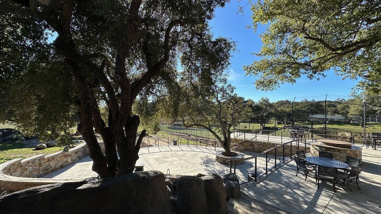 Photo of Outdoor in Alpine