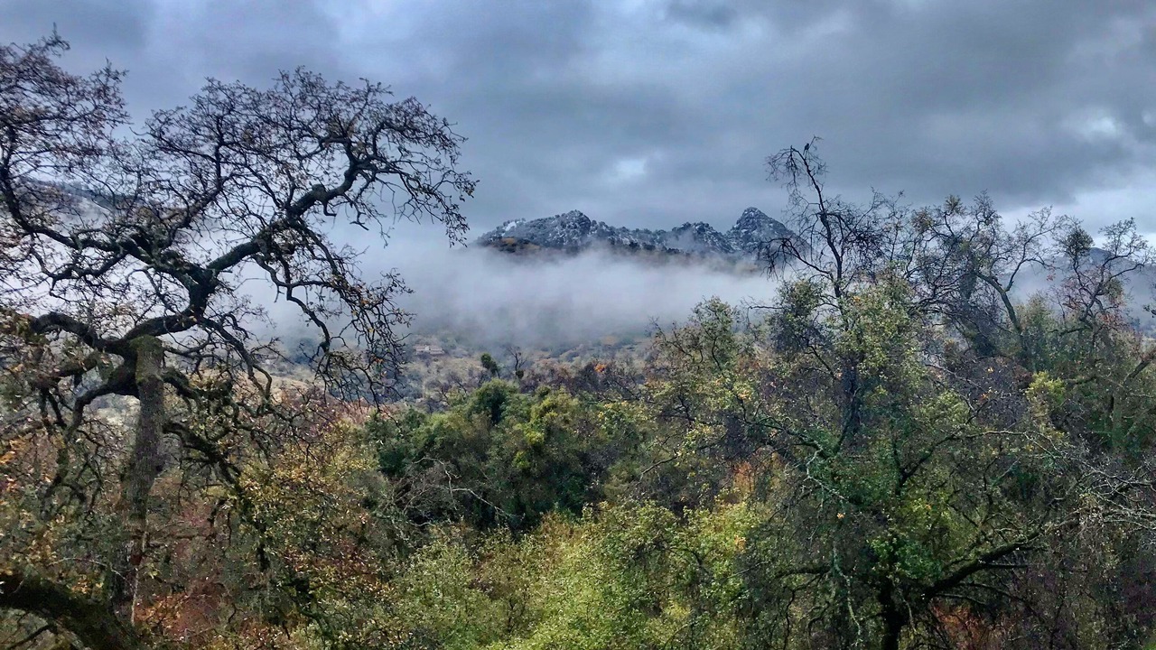 Photo of Outdoor in Three Rivers