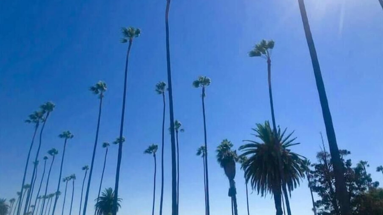 Photo of Others in Los Angeles