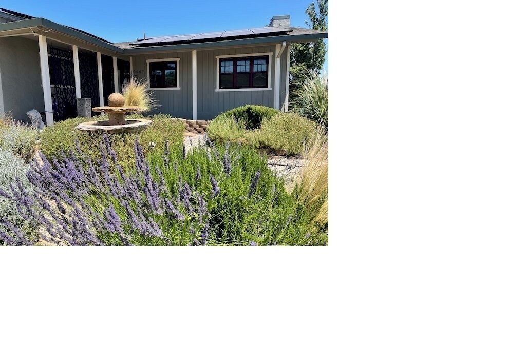 Photo of Outdoor in Kelseyville