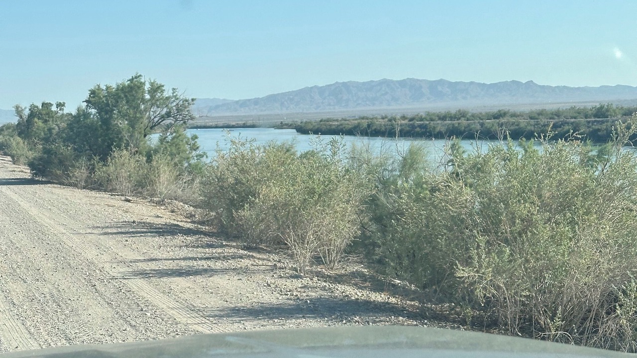 Photo of Others in Mohave Valley