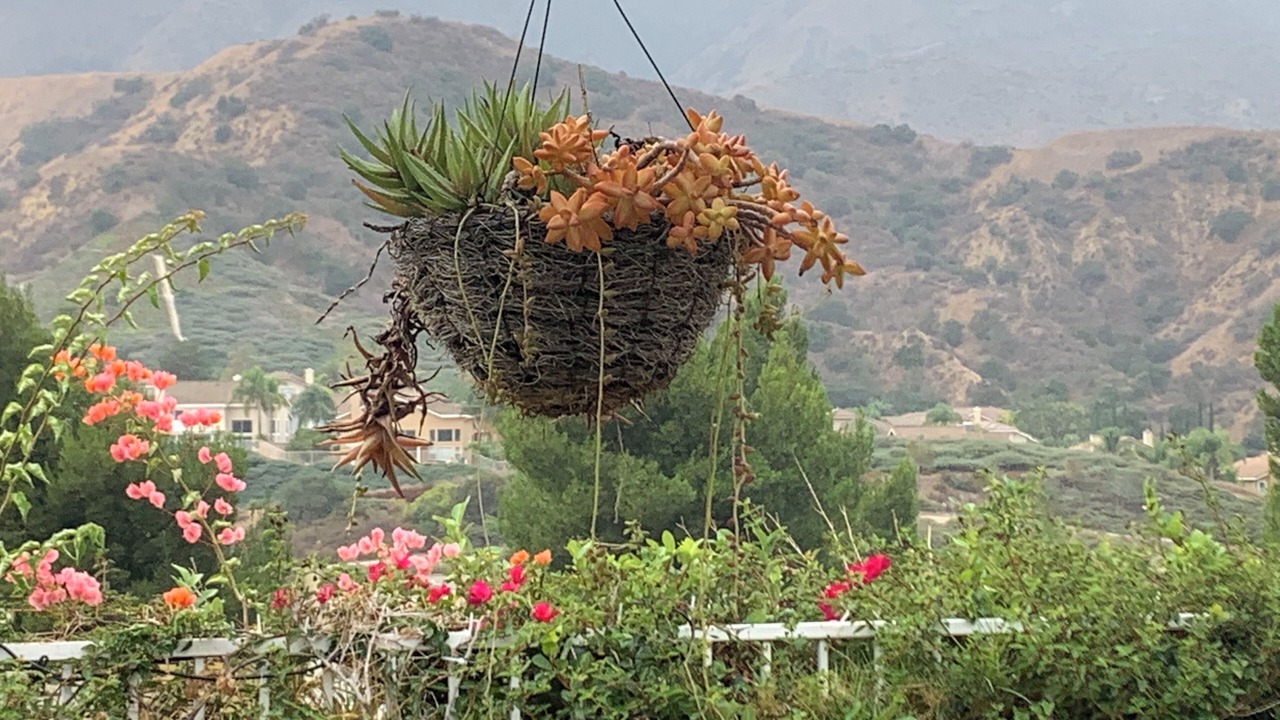 Photo of Outdoor in Corona