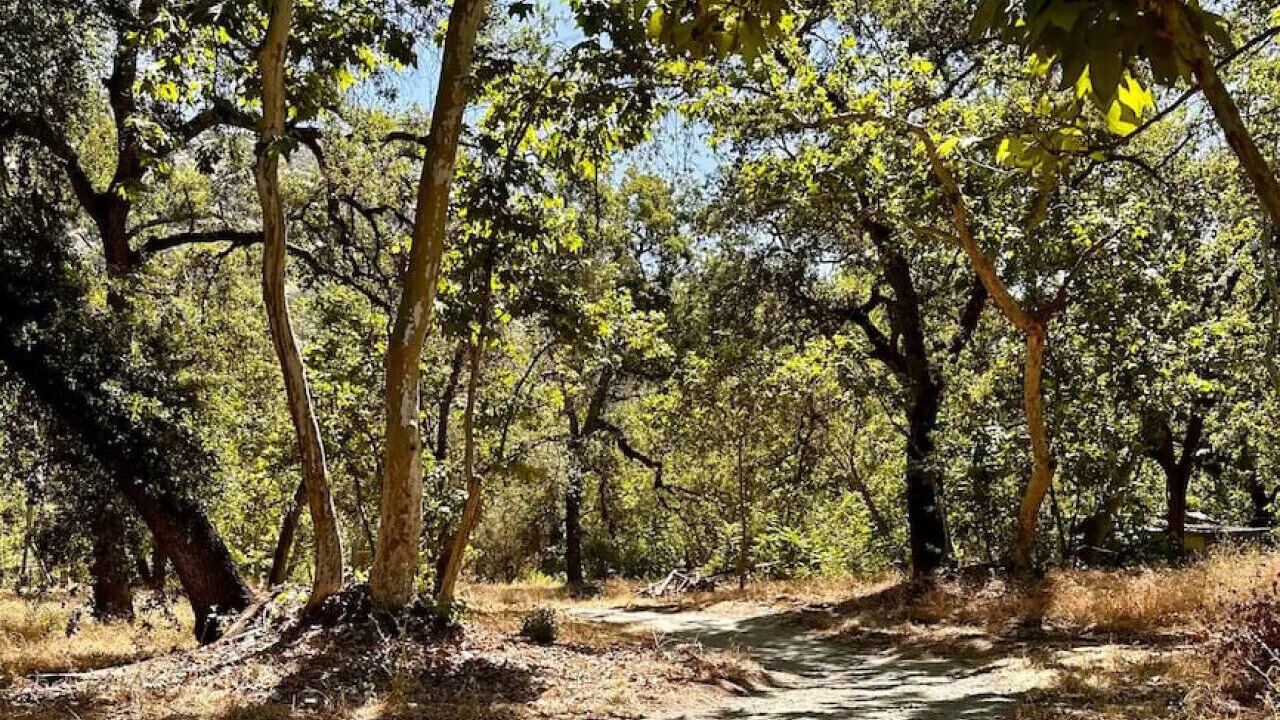 Photo of Others in Kaweah