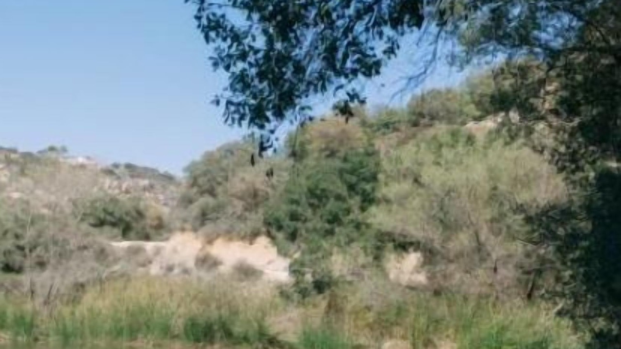 Photo of Others in Jamul