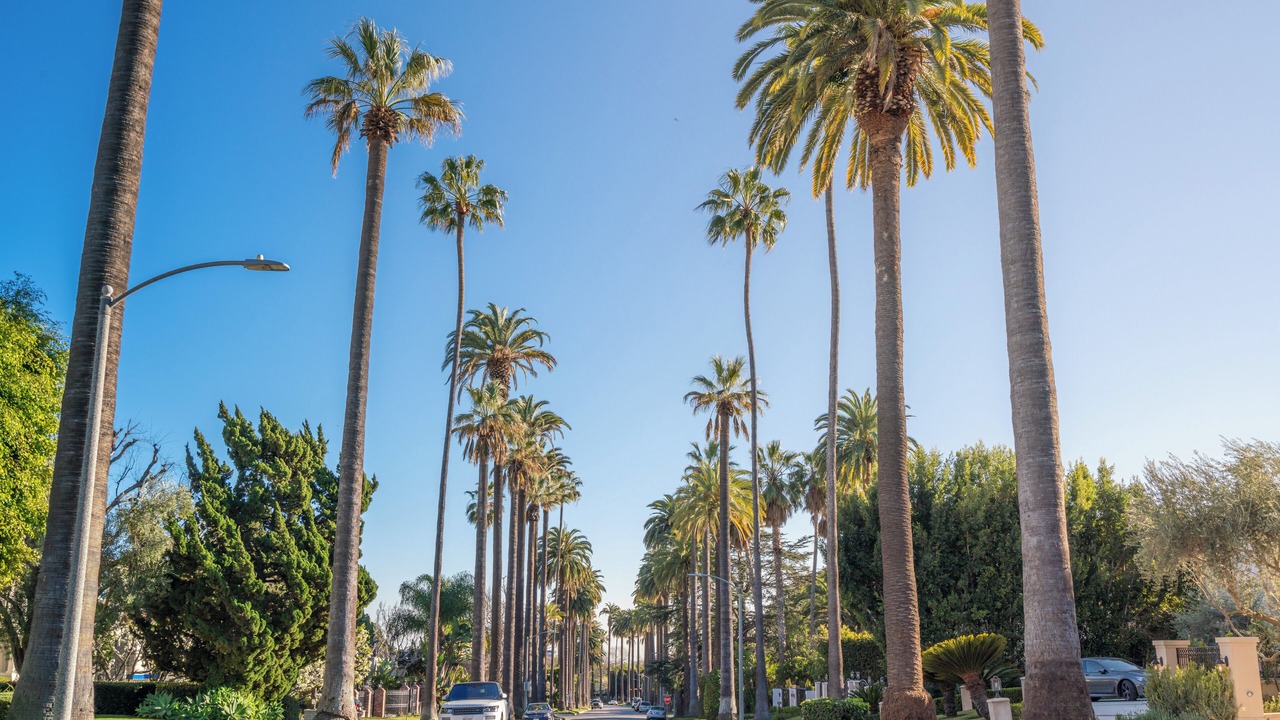 Photo of Others in Beverly Grove