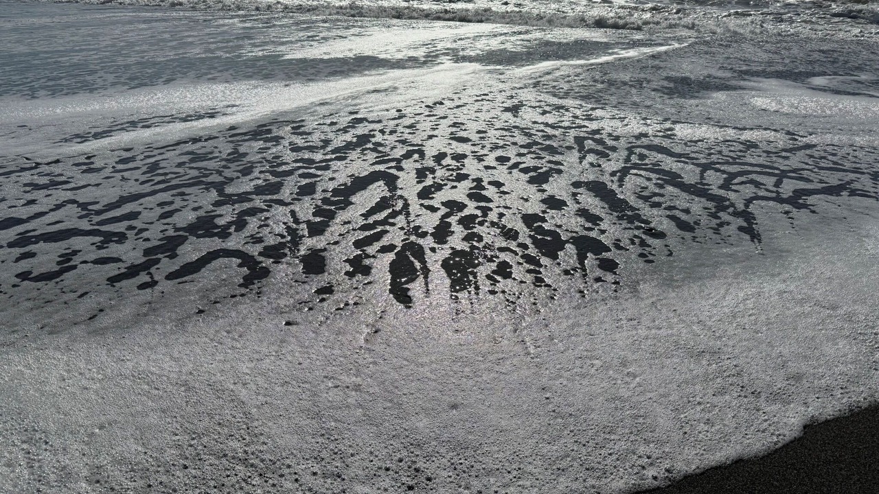 Photo of Others in Smith River