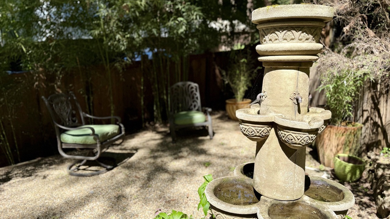 Photo of Outdoor in Forestville