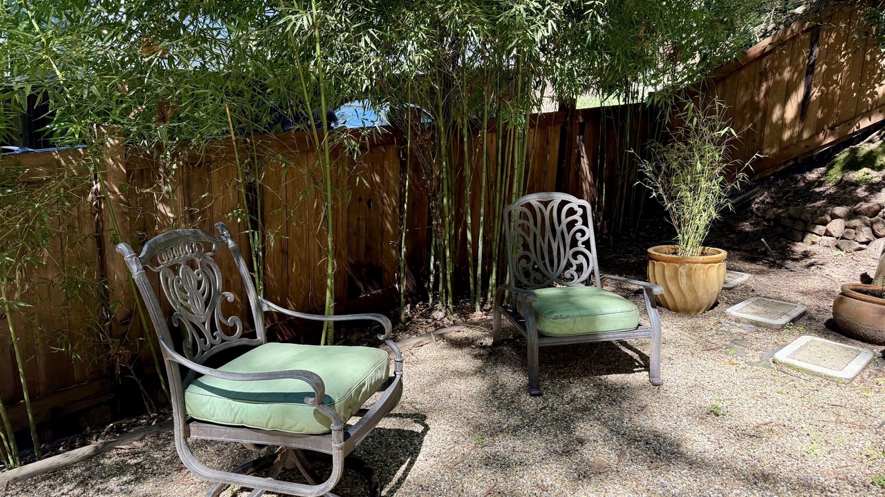 Photo of Outdoor in Forestville