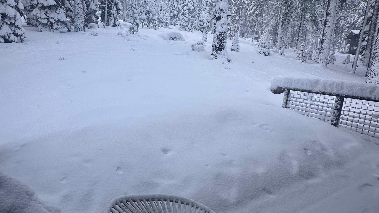 Photo of Outdoor in Olympic Valley