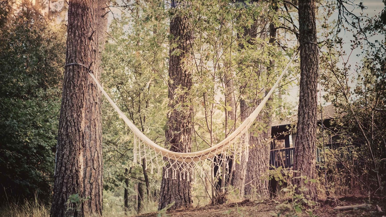 Photo of Others in Idyllwild