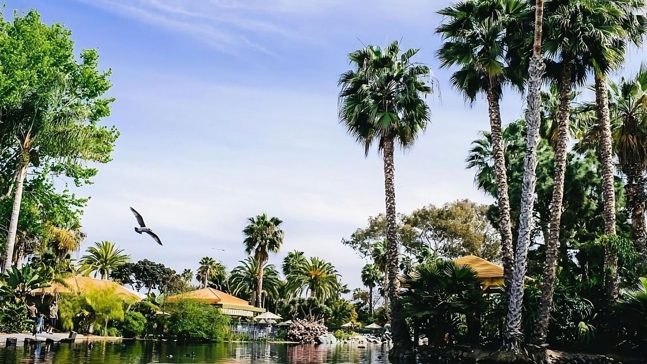 Photo of Outdoor in San Diego