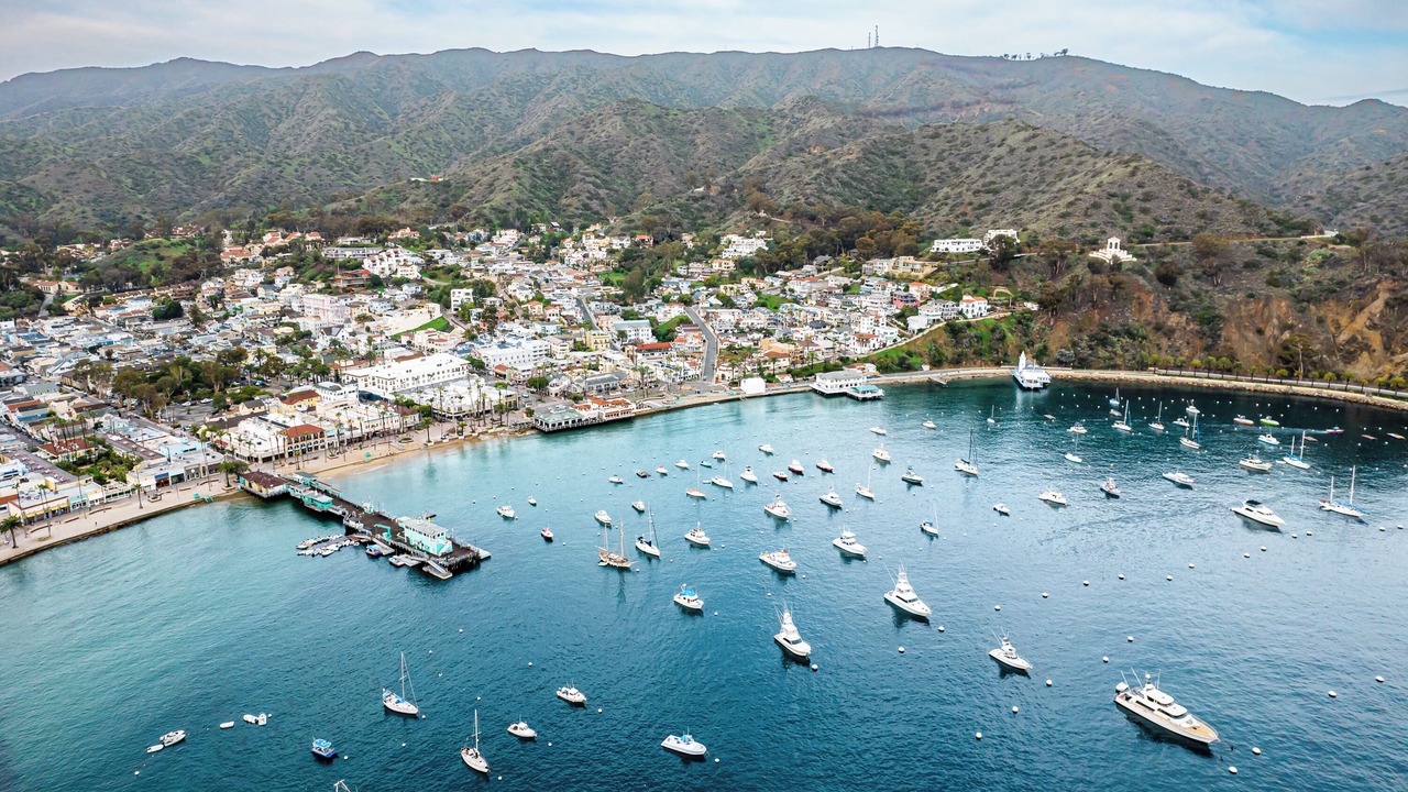 Photo of Others in Avalon