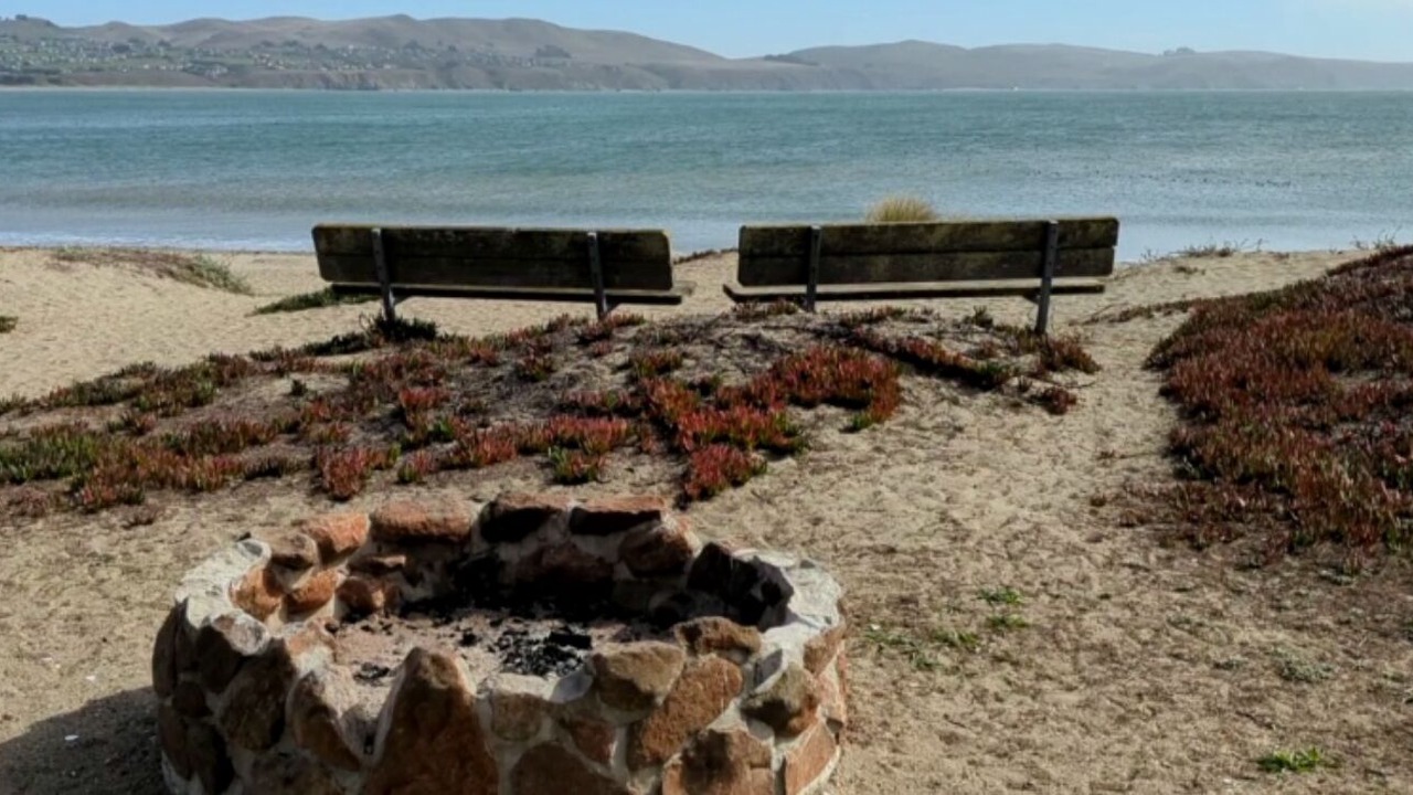 Photo of Others in Bodega Bay
