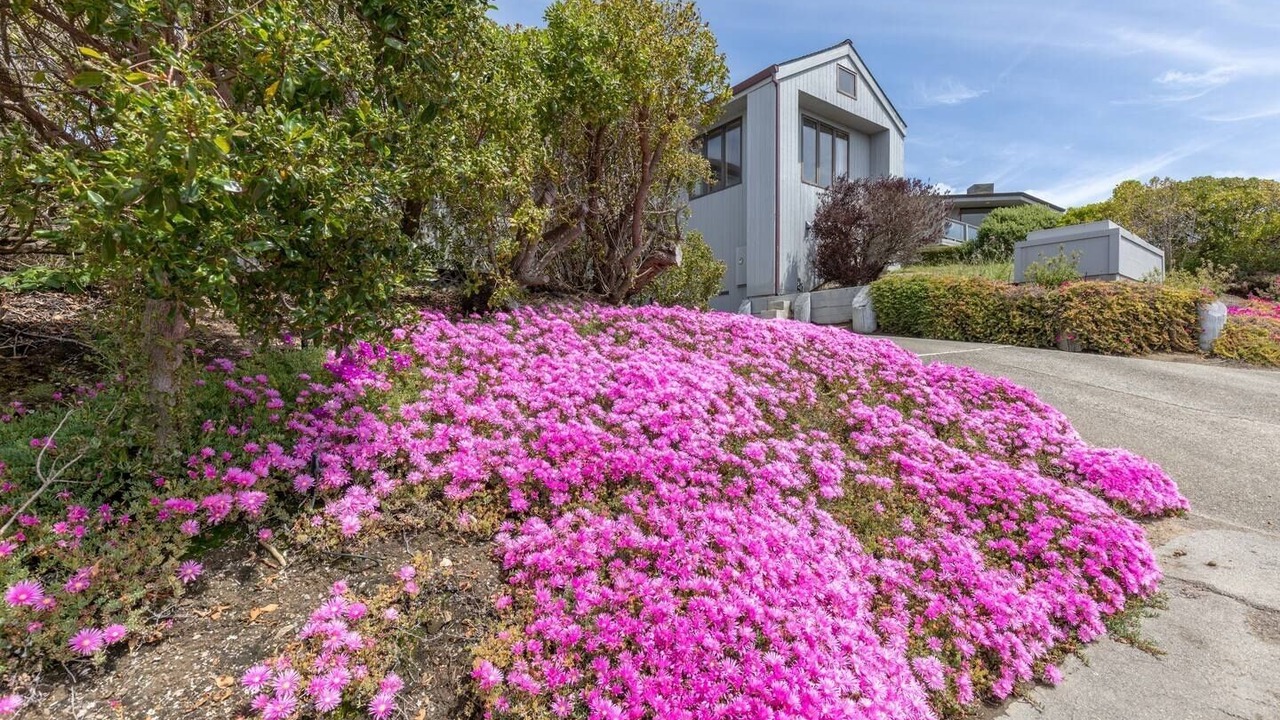 Photo of Outdoor in Bodega Bay