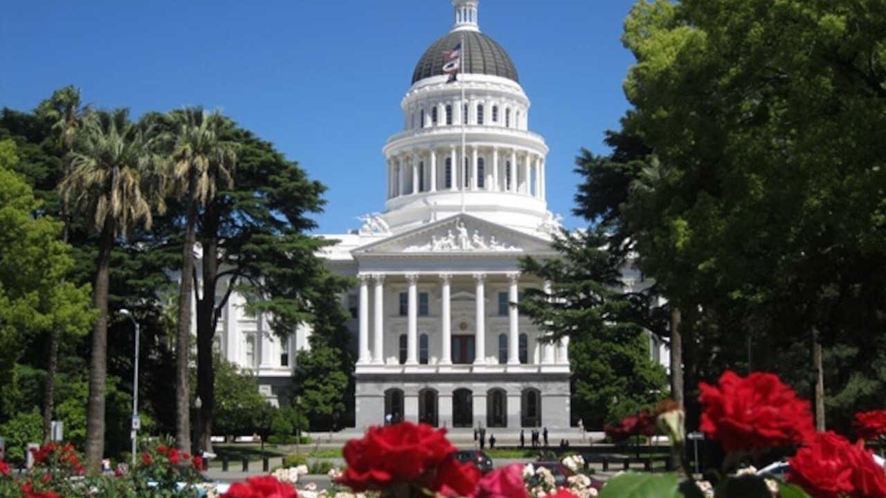 Photo of Others in Downtown Sacramento
