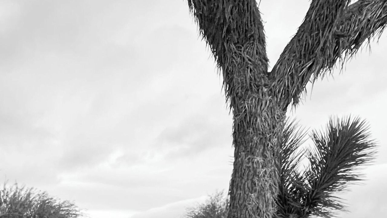 Photo of Outdoor in Yucca Valley