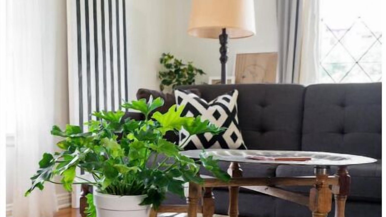 Photo of Livingroom in Mid City