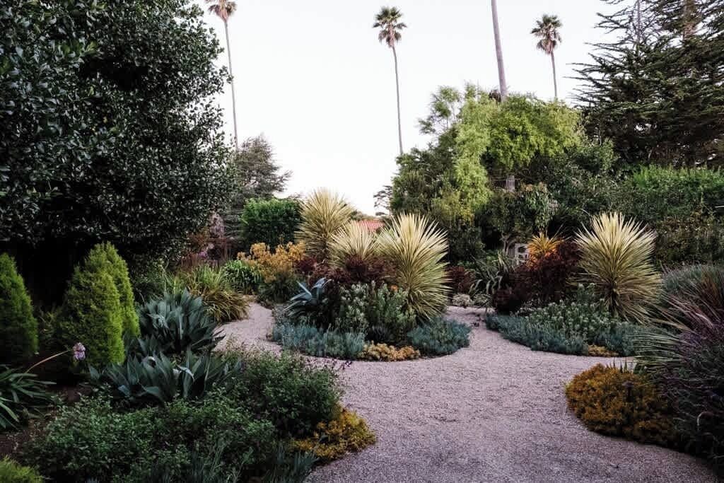 Photo of Outdoor in La Selva Beach