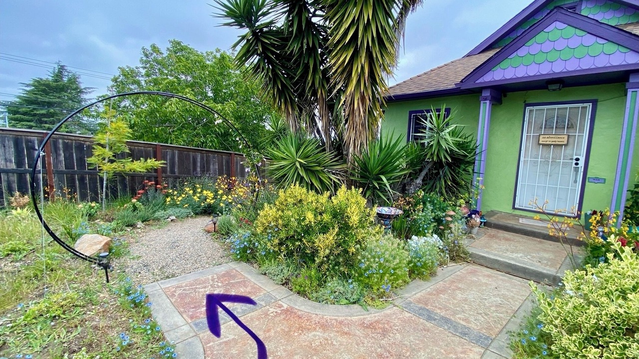 Photo of Outdoor in Vallejo
