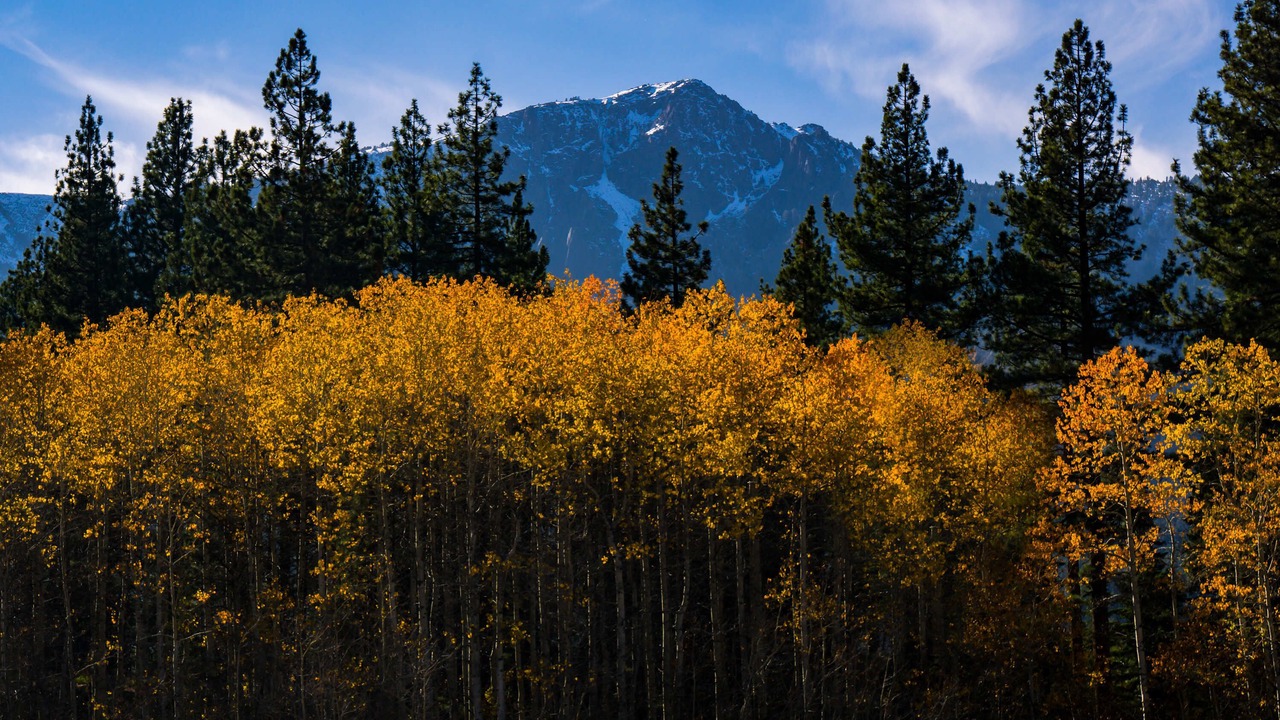 Photo of Others in Tahoe Island