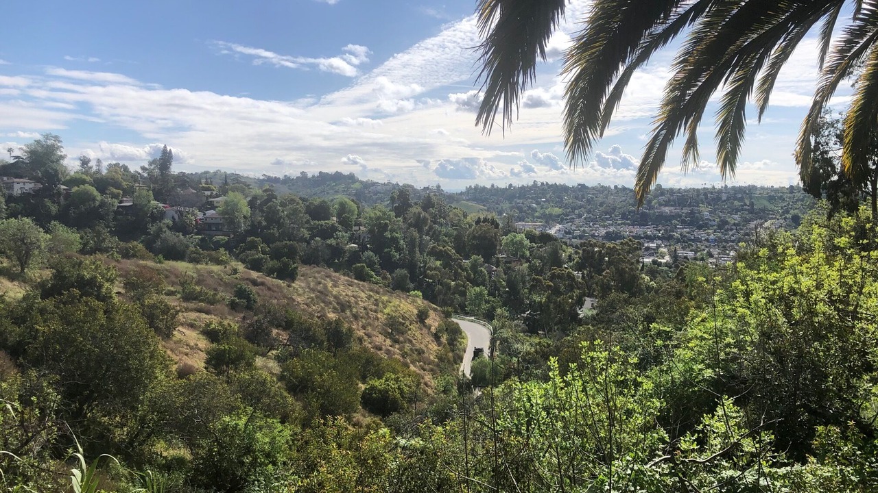 Photo of Others in Cypress Park