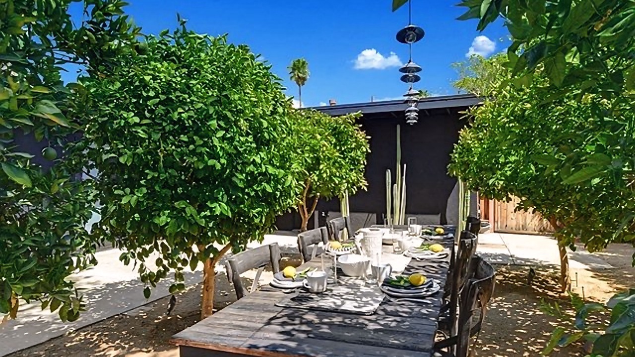 Photo of Outdoor in Chino Canyon
