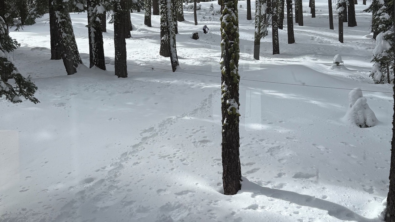 Photo of Others in Truckee