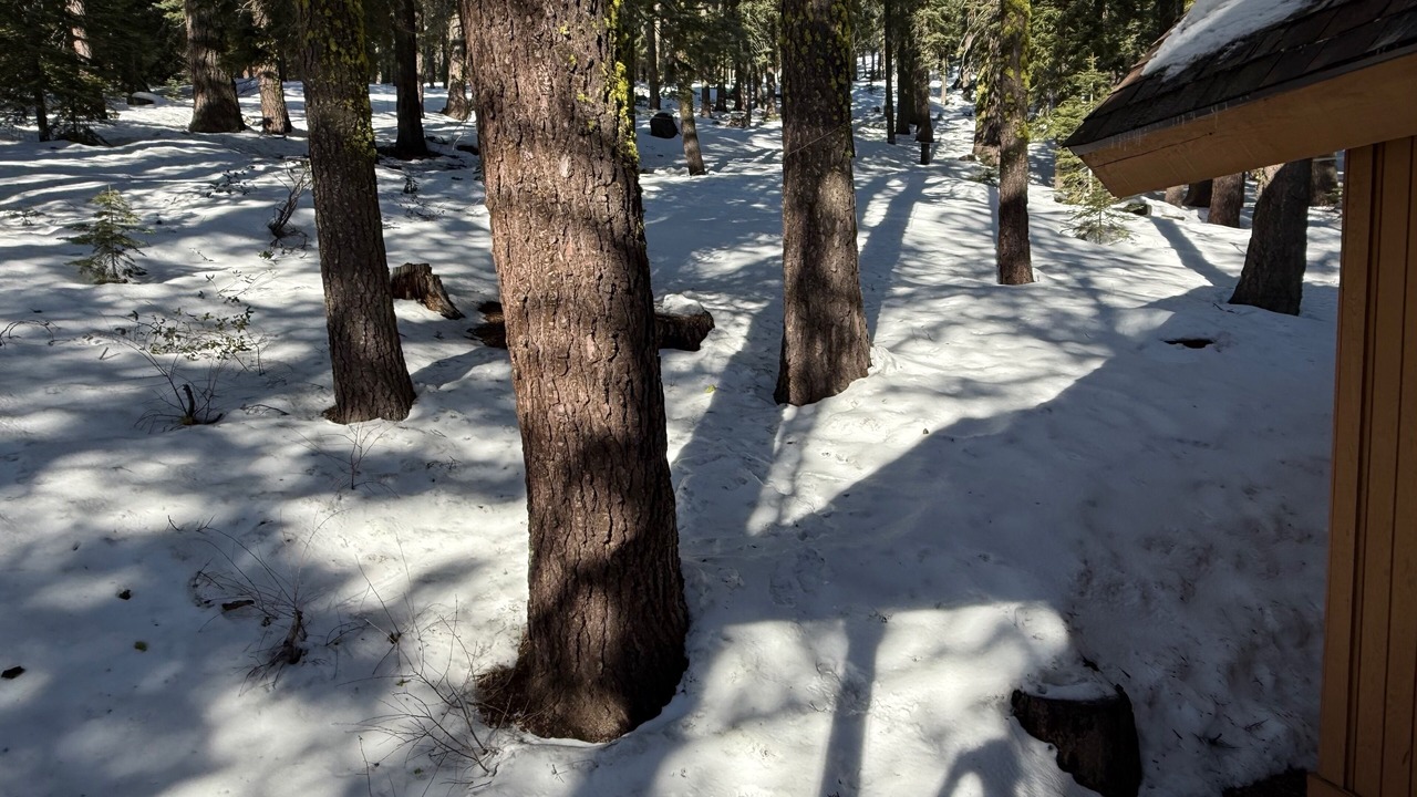 Photo of Others in Truckee