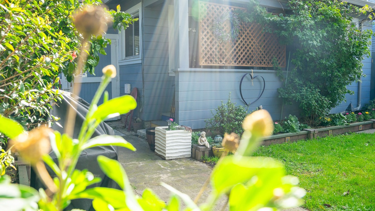 Photo of Outdoor in West Alameda