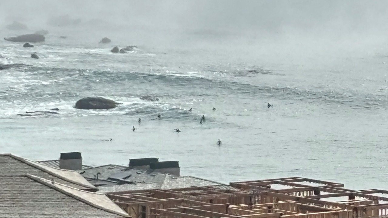 Photo of Others in Dana Point