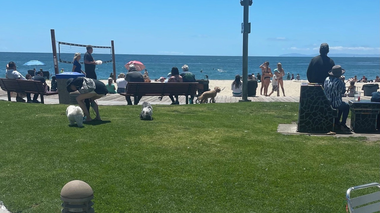 Photo of Others in Dana Point