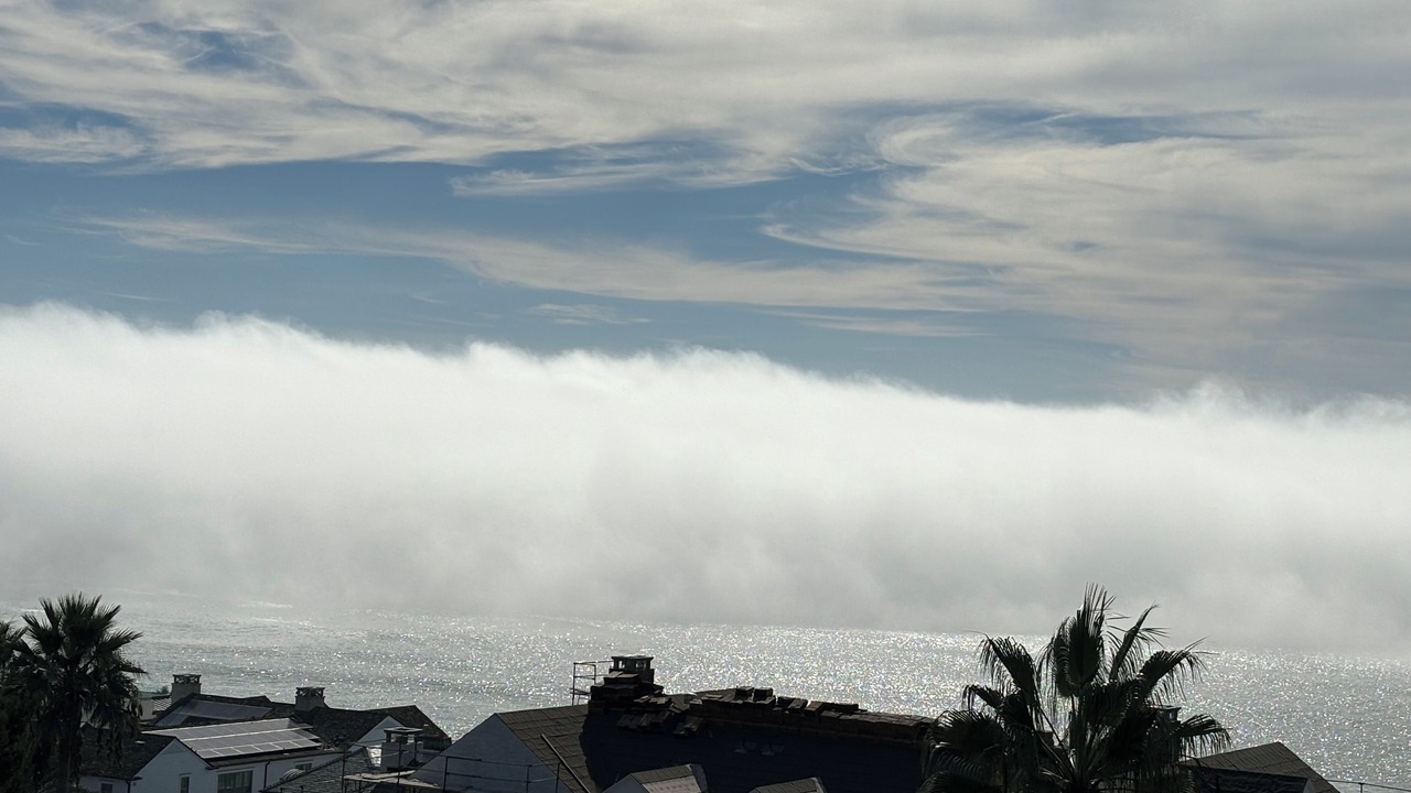 Photo of Others in Dana Point