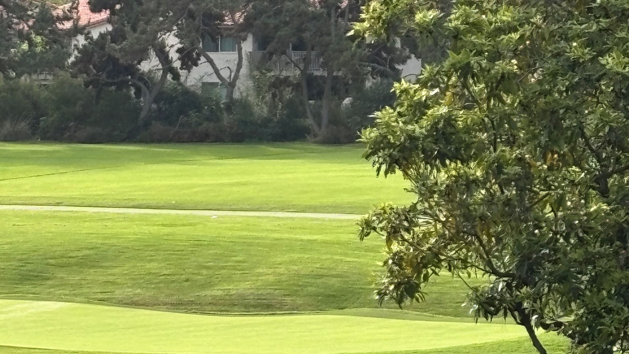Photo of Others in Dana Point