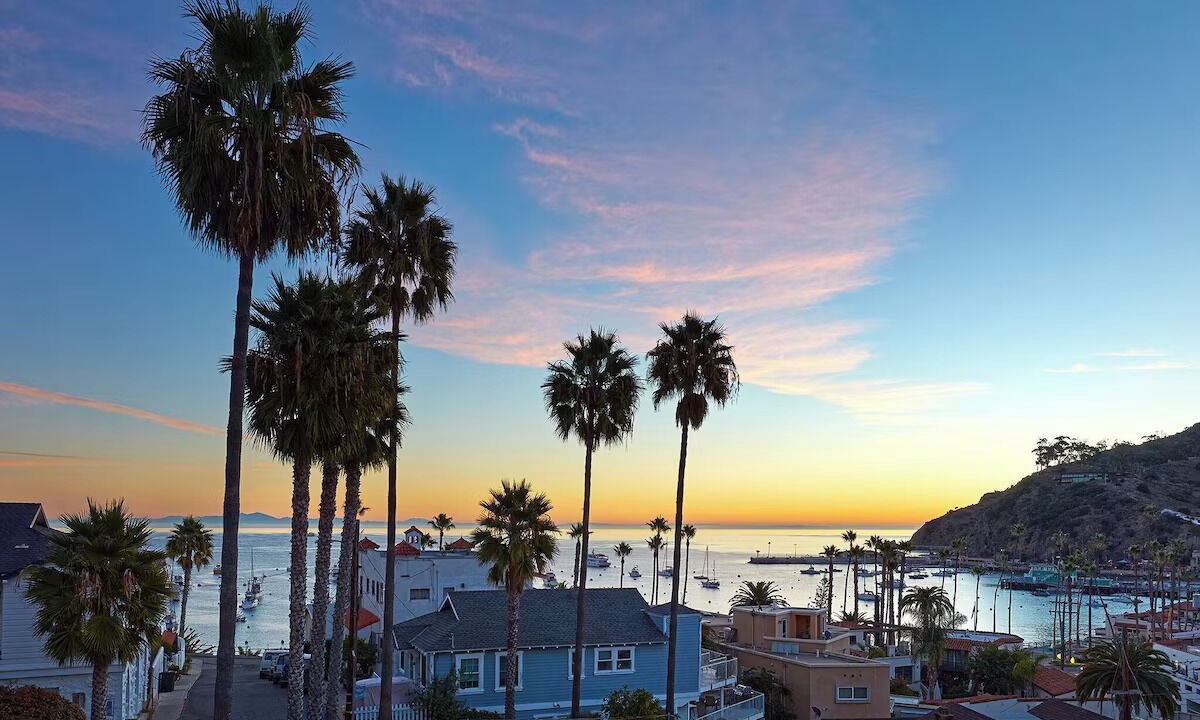 Photo of Others in Avalon