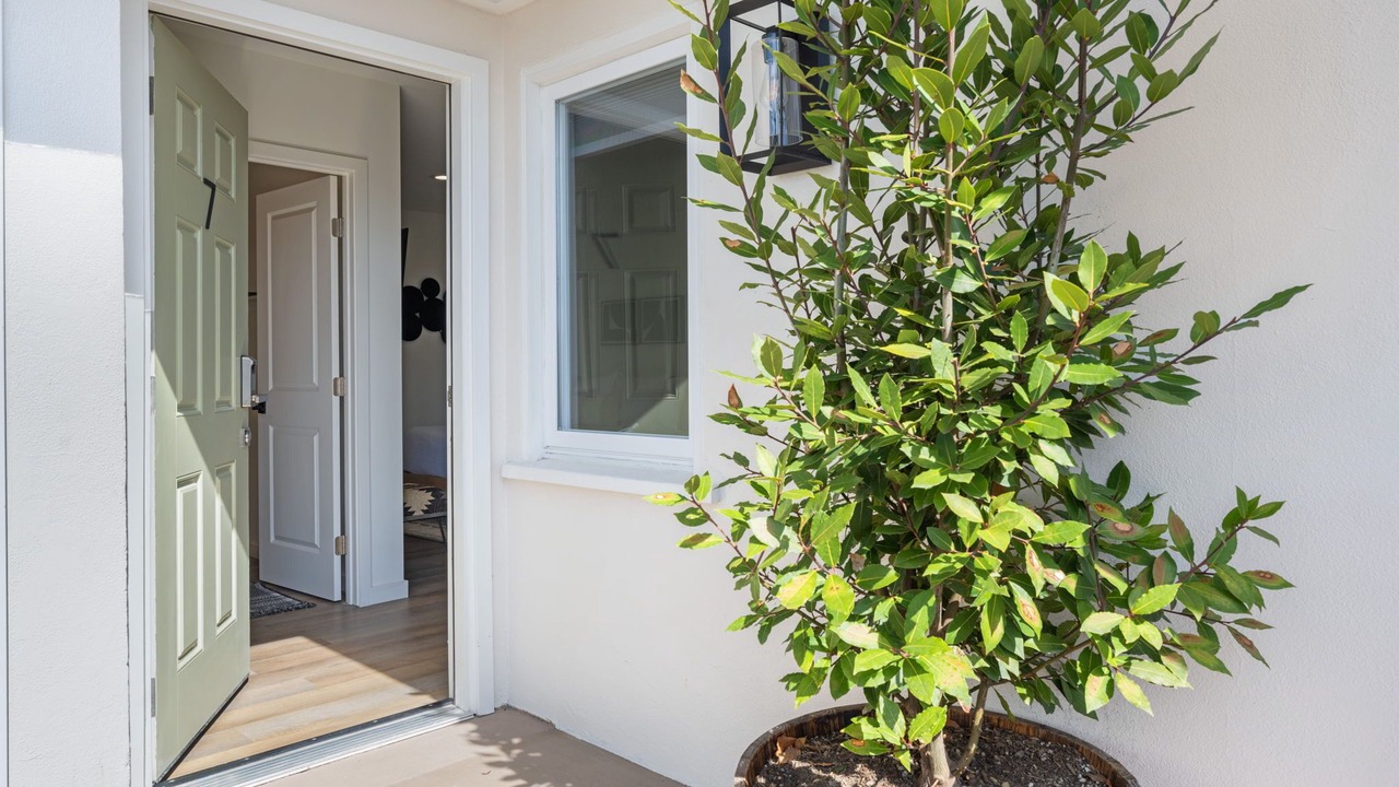 Photo of Outdoor in South Oceanside
