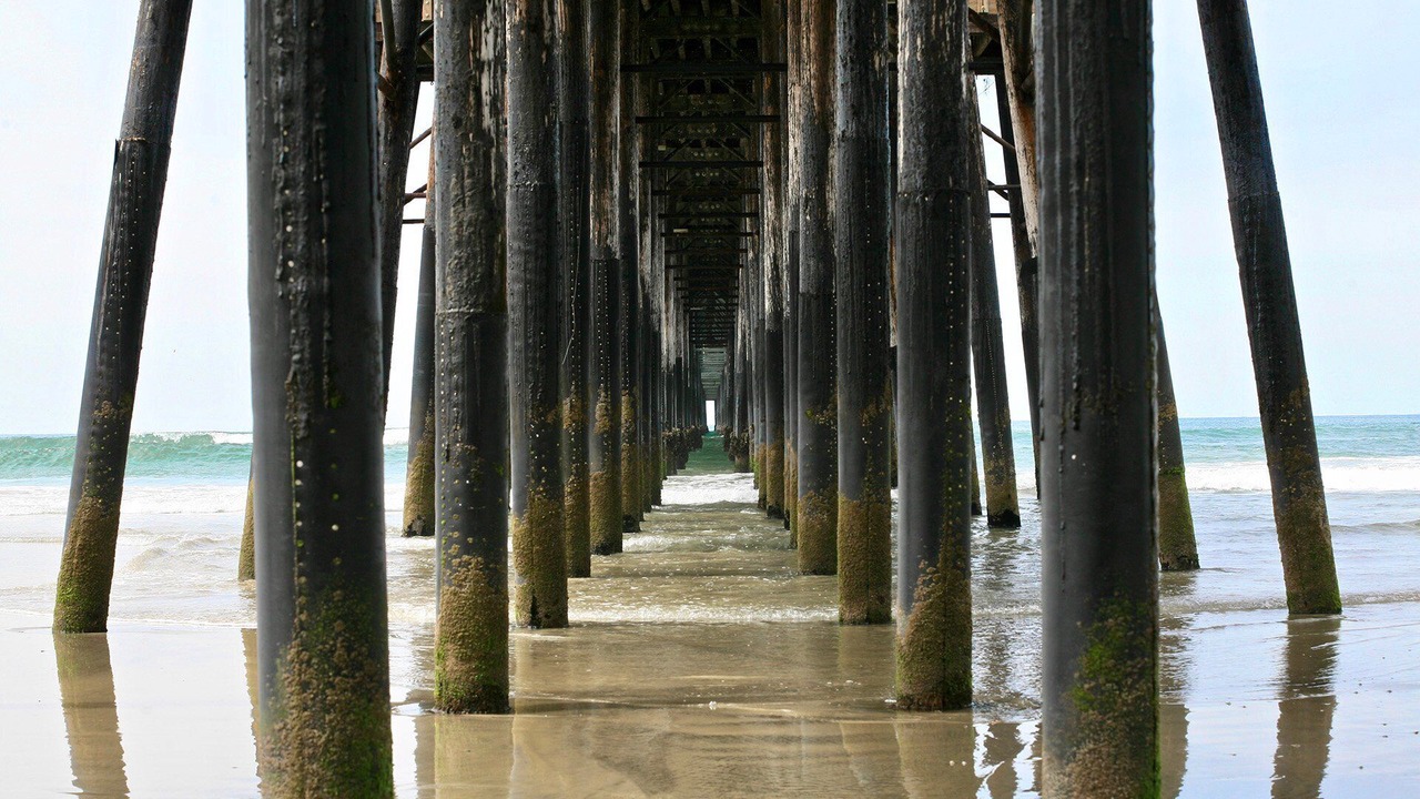 Photo of Others in South Oceanside