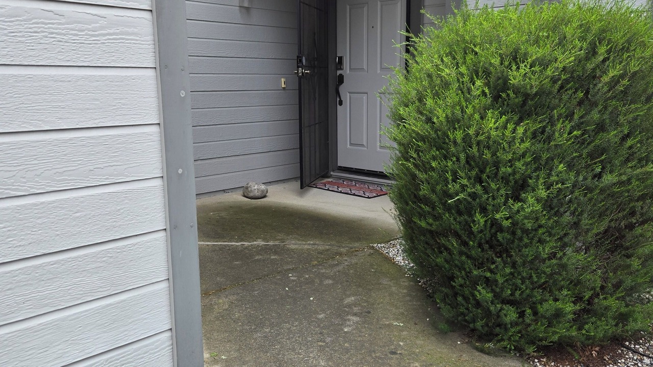 Photo of Outdoor in Elk Grove