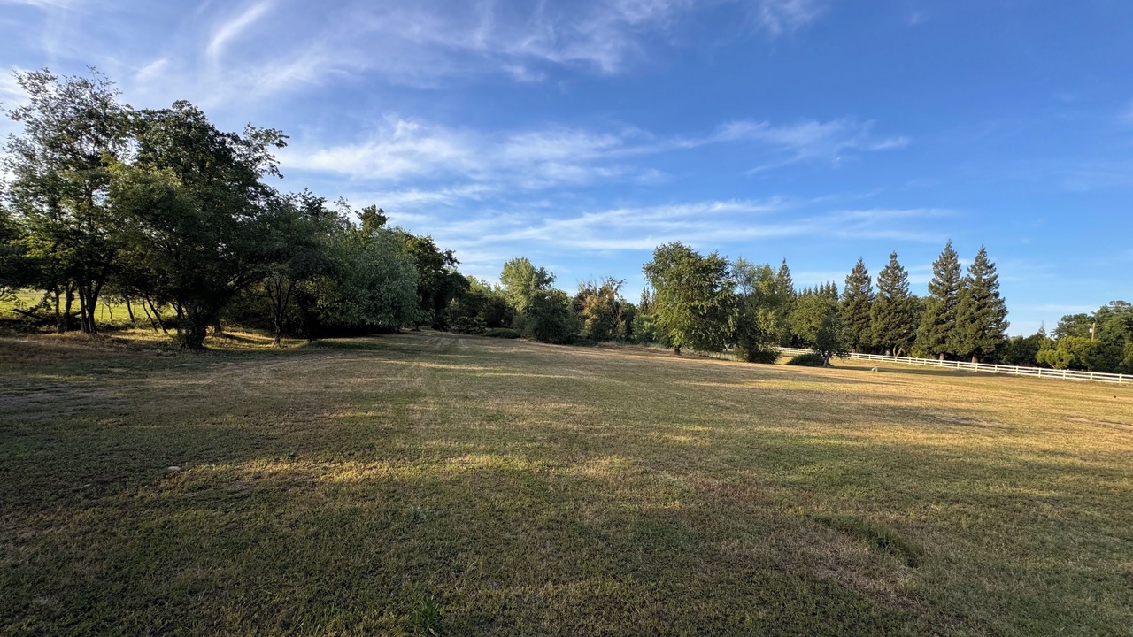 Photo of Others in Knights Ferry