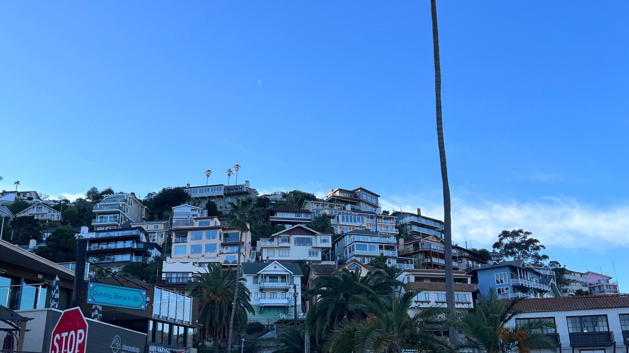 Photo of Others in Avalon