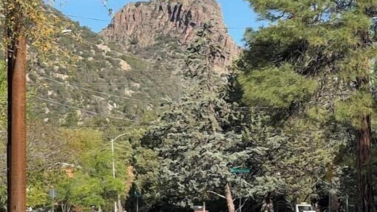 Photo of Others in Prescott
