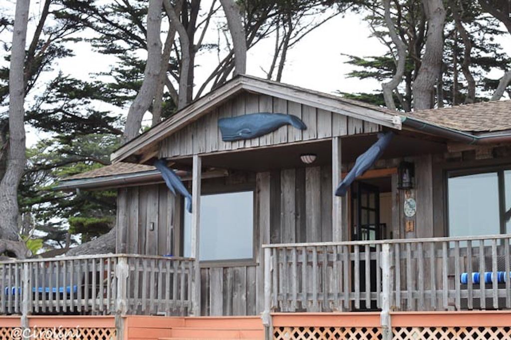 Photo of Outdoor in Fort Bragg