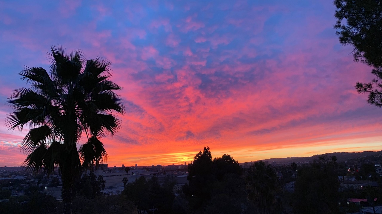 Photo of Others in Los Feliz