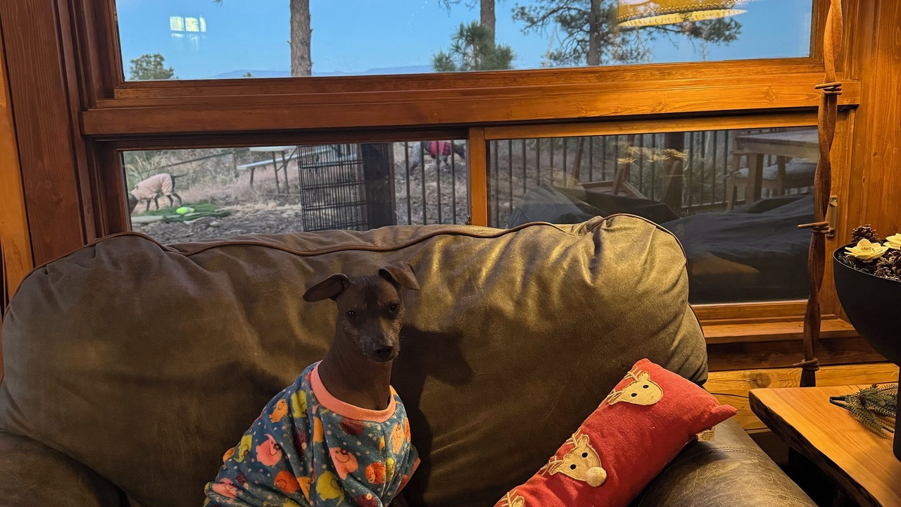 Photo of Others in Prescott