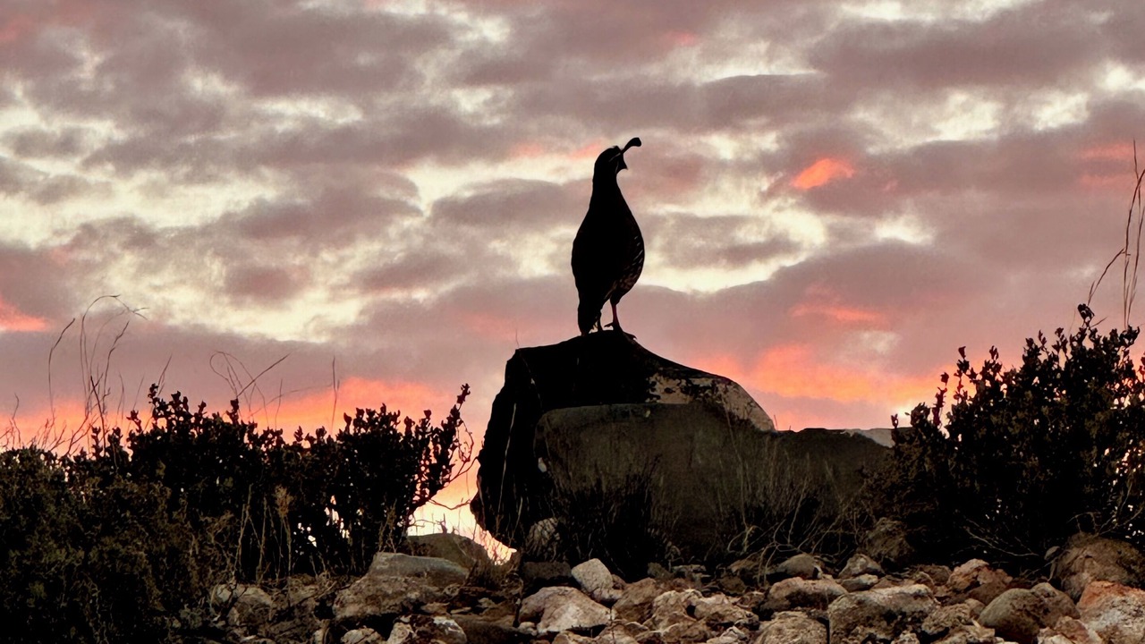 Photo of Others in Clarkdale